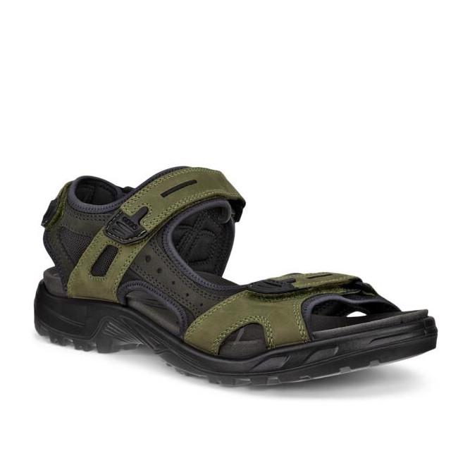 BLACK Offroad Acorn Peat