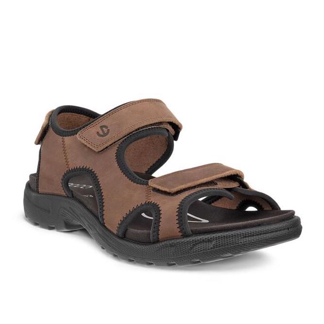 Brown ECCO Onroads M Cocoa Brown
