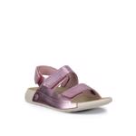 Product Color-وردي